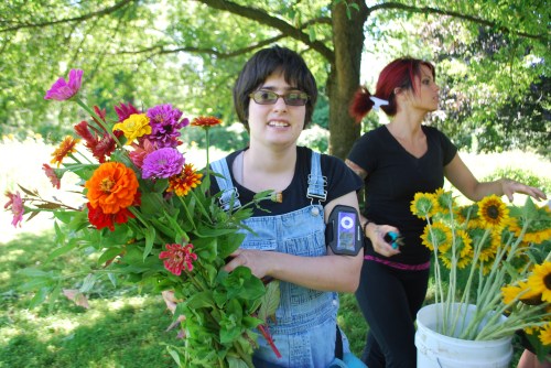 Summer 2013 Zinnias!